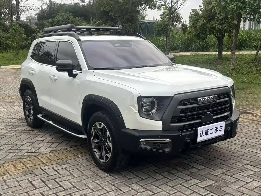 Haval Dargo 2.0T DCT 4WD Chinese Rural Dog Hunting Edition, фото 3