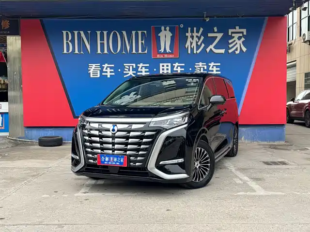 2023 Denza D9