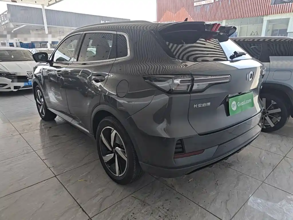Qiyuan Чанг Ан Кай Q05 классика. — миниатюра 5