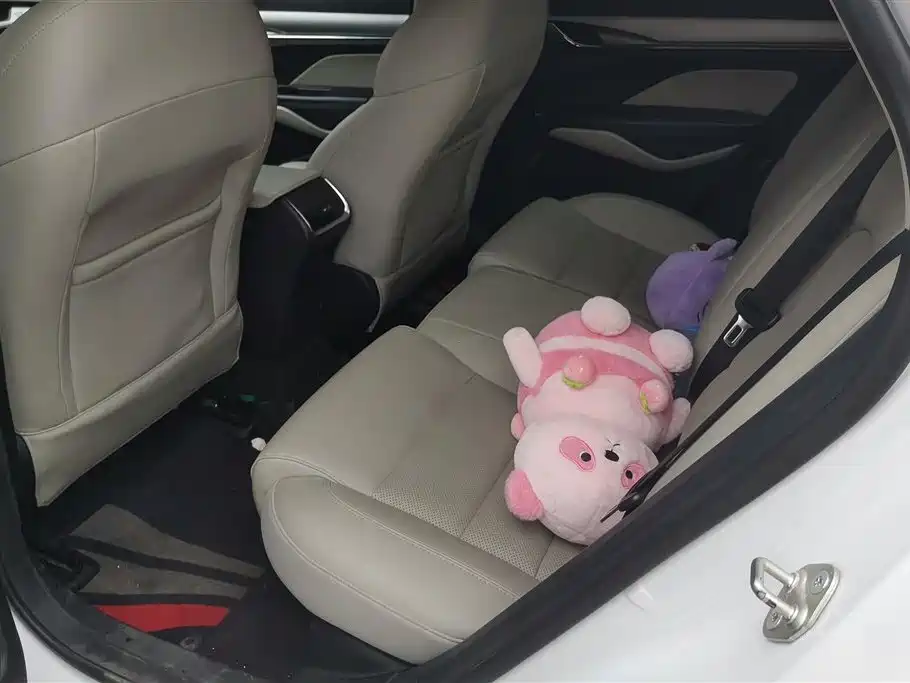 GEELY AUTOMOBILE BINRUI