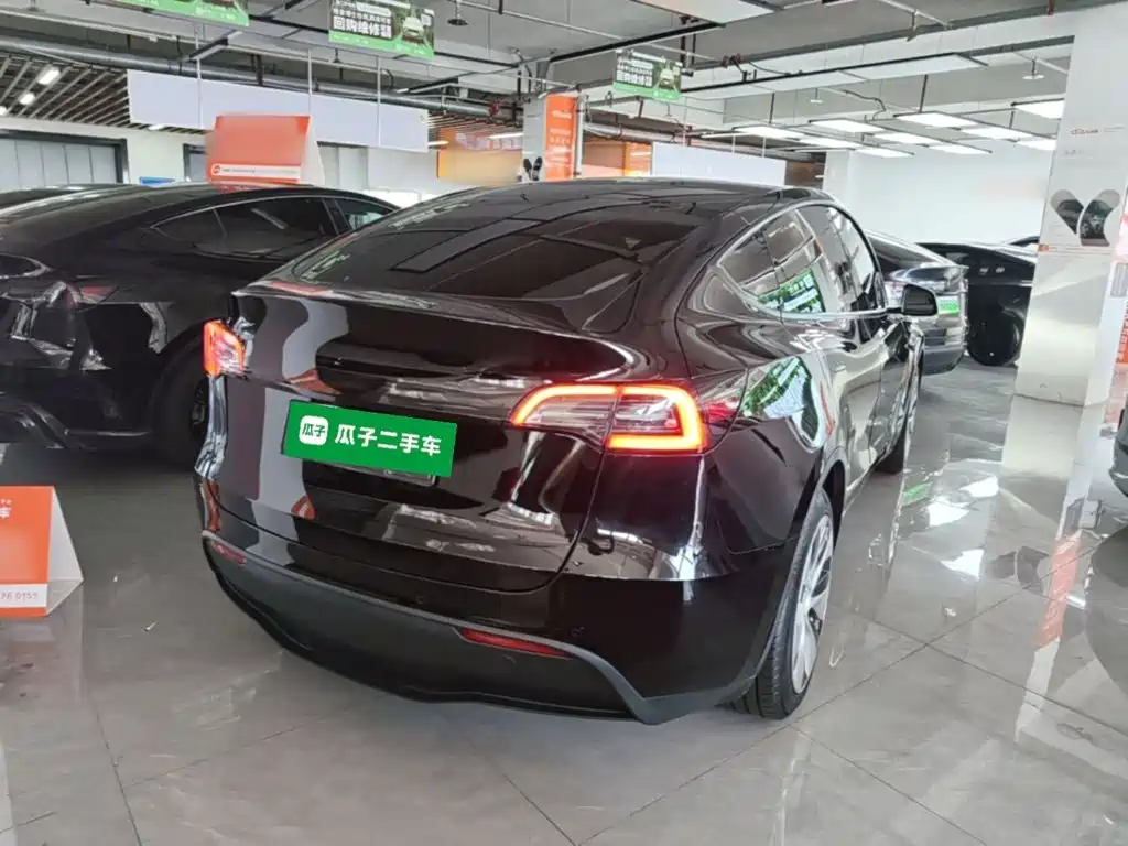 Tesla Model Y — миниатюра 7