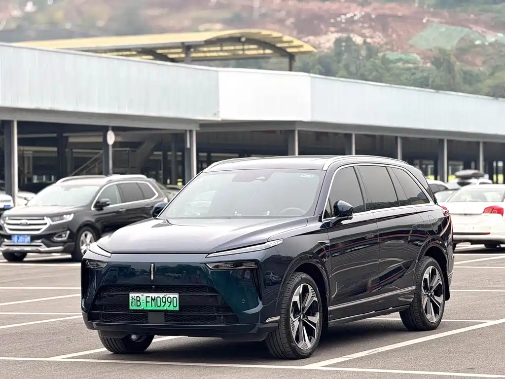 WEI PAI WEI BRAND BLUE MOUNTAIN