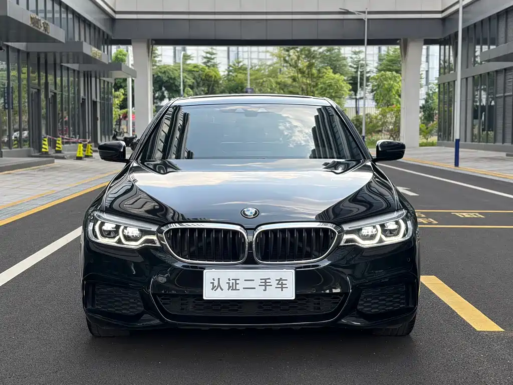 BMW 5 Series (Import) — миниатюра 2