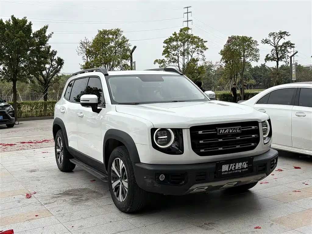 HAVAL BIG DOG