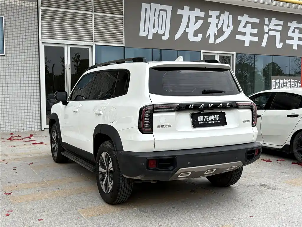 HAVAL BIG DOG