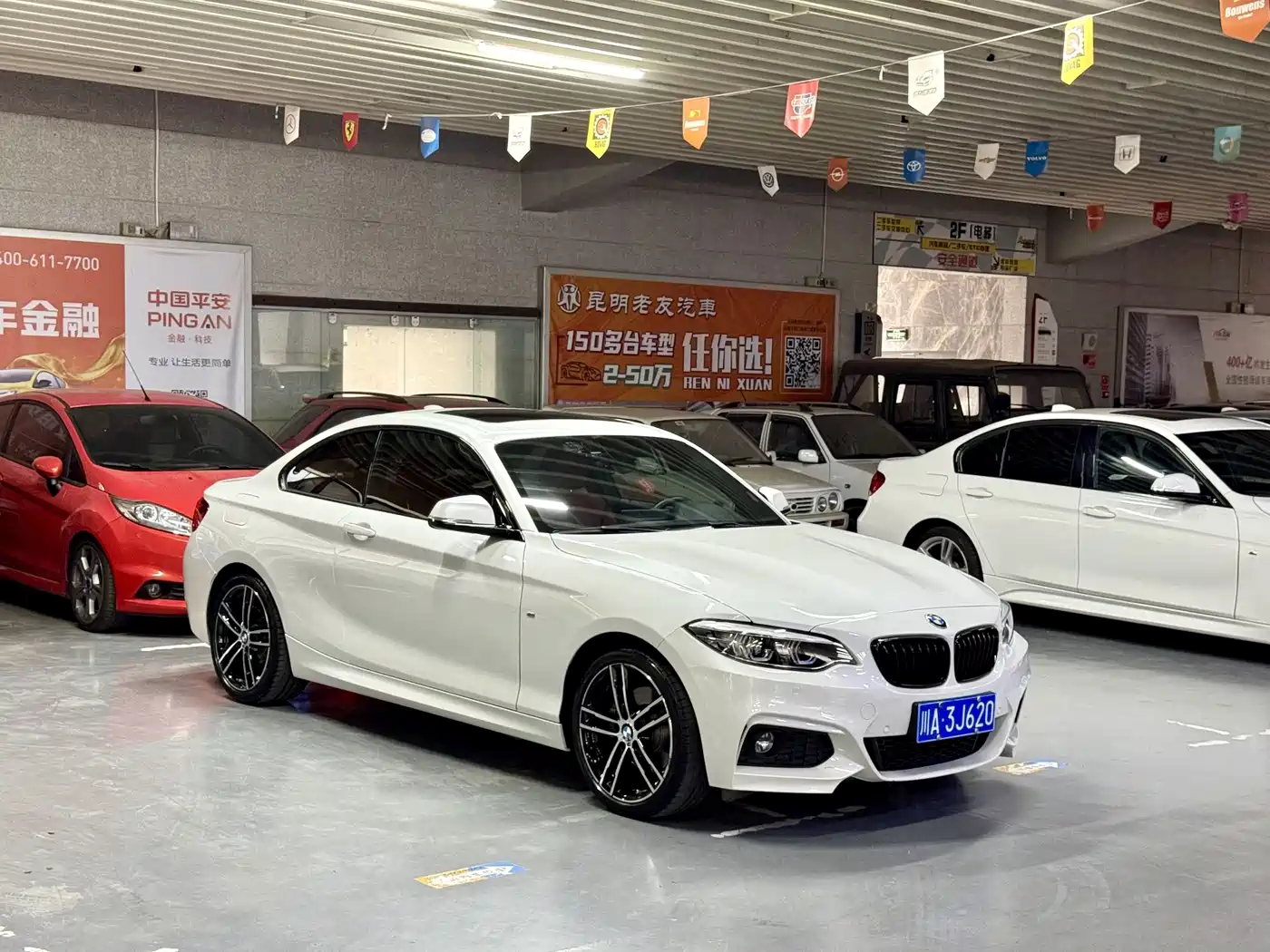 BMW 2 Series (Import)
