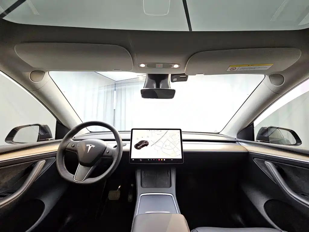 Tesla Model Y — миниатюра 11