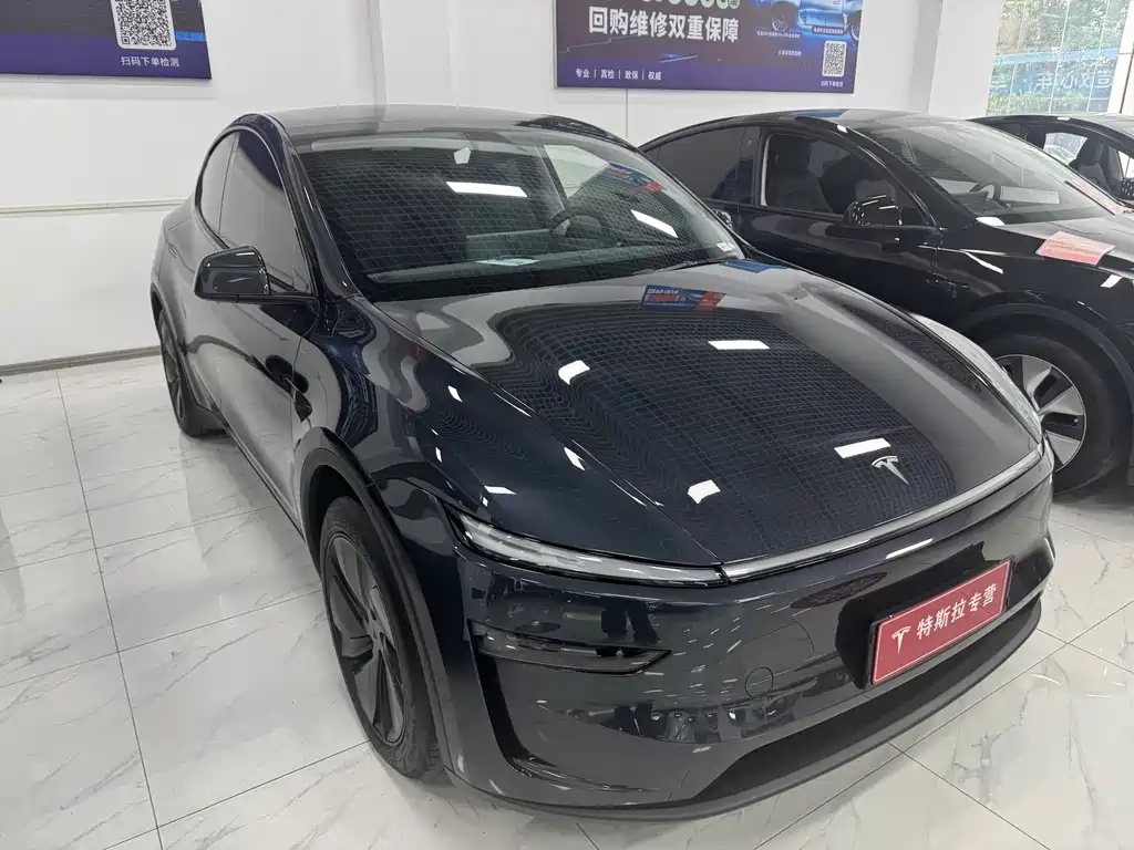 Tesla Model Y — миниатюра 3