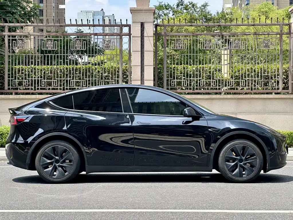 Tesla Model Y — миниатюра 3
