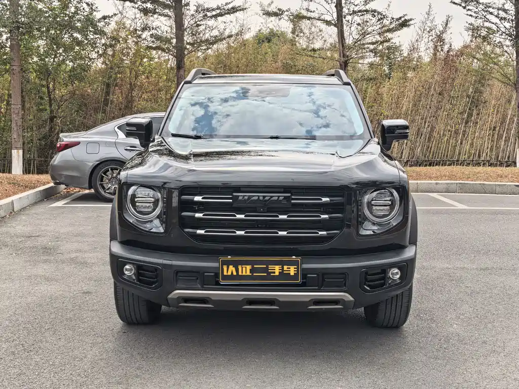 HAVAL BIG DOG