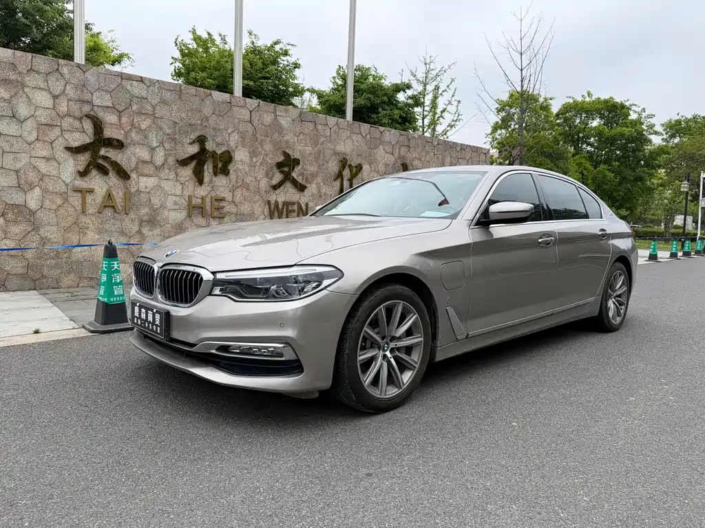 BMW 5 Series 5 2019 530Le Luxury