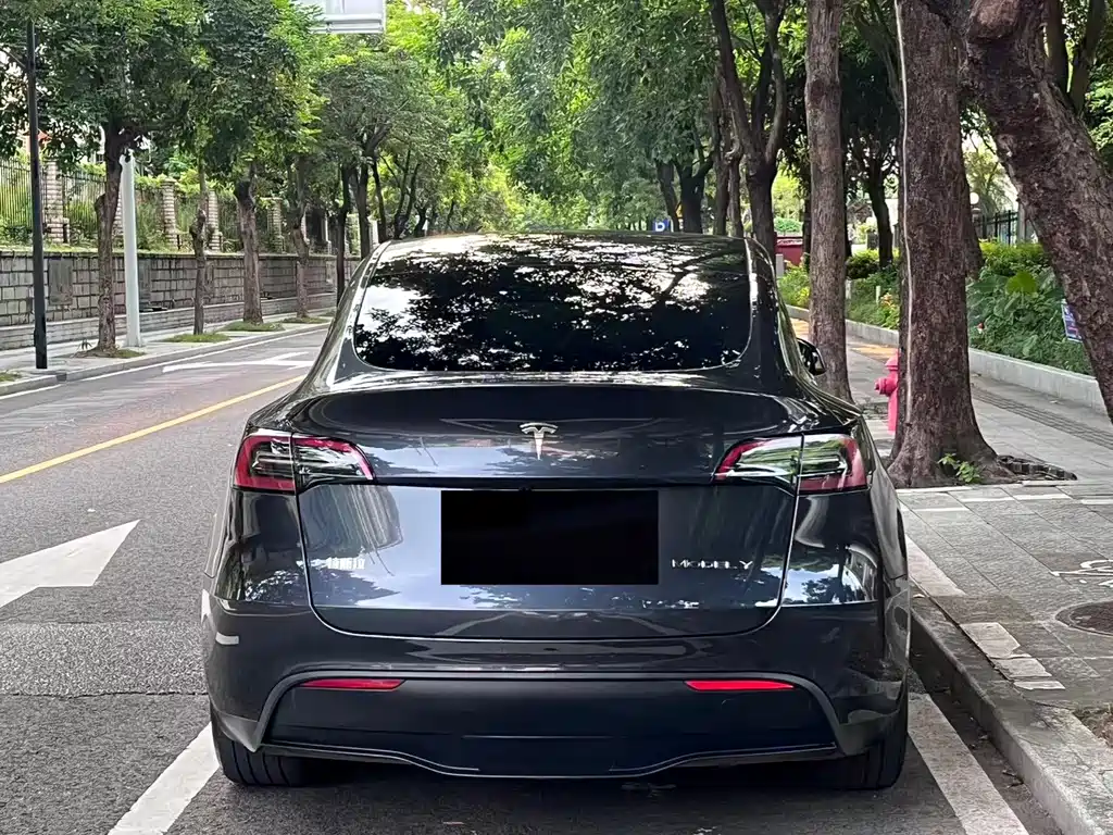 Tesla Model Y — миниатюра 19