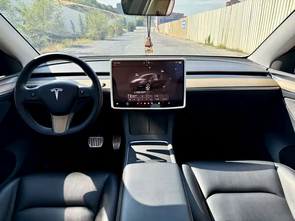 Tesla Model Y — миниатюра 5