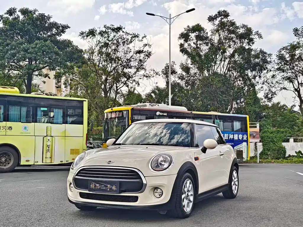 Mini Mini 2019