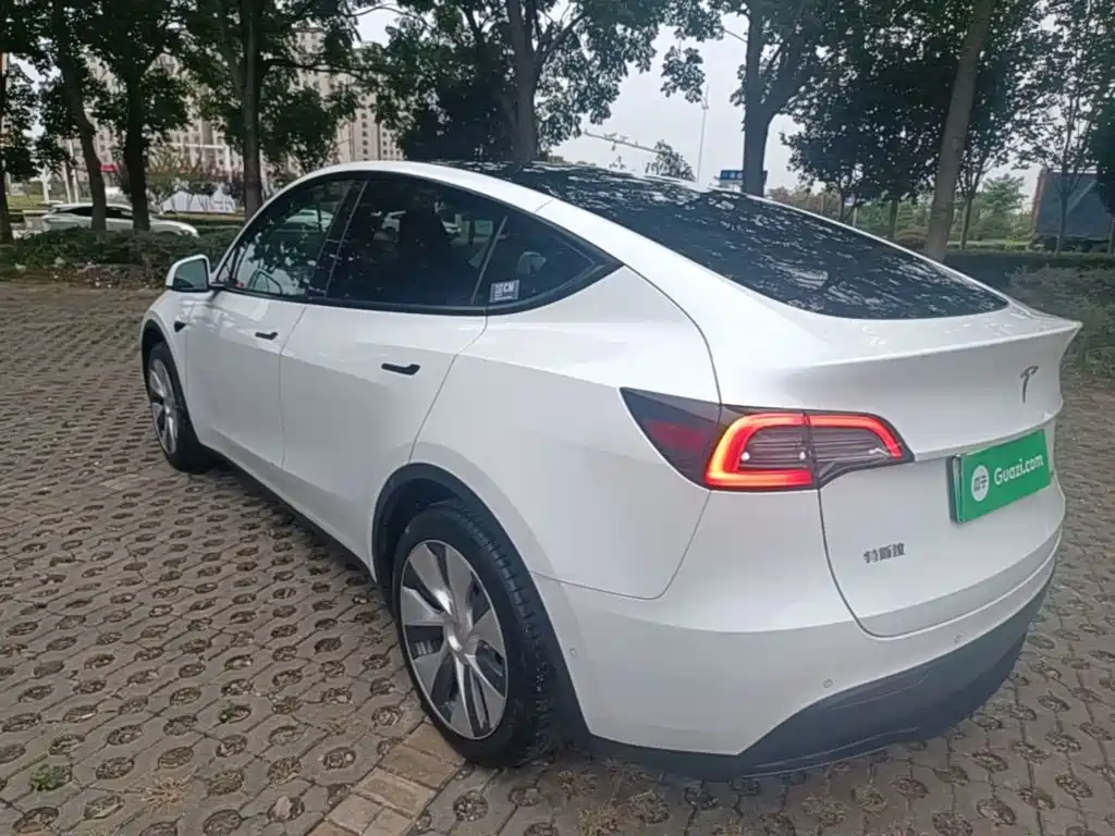 Tesla Model Y — миниатюра 5