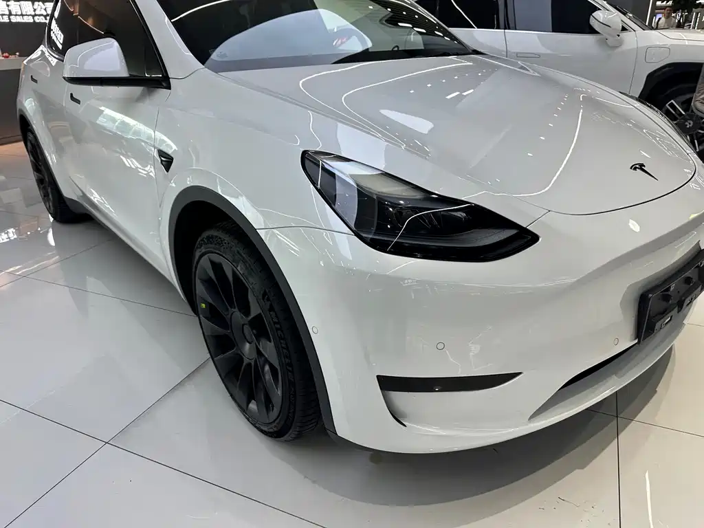 Tesla Model Y — миниатюра 4