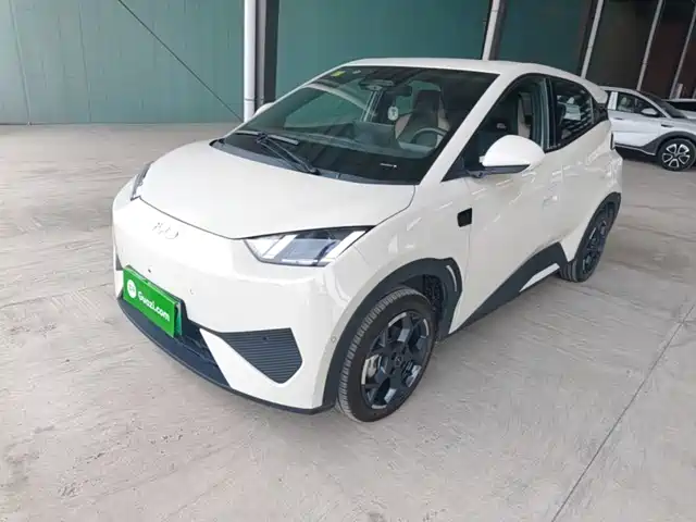 2025 BYD Seagull