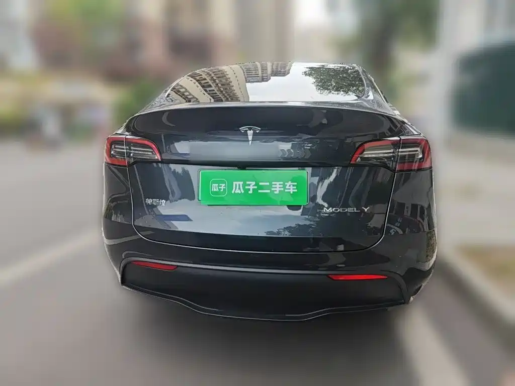 Tesla Model Y — миниатюра 3