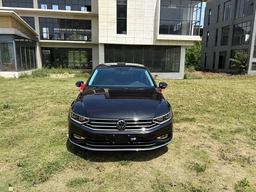 Volkswagen Magotan 2020 330TSI DSG Luxury