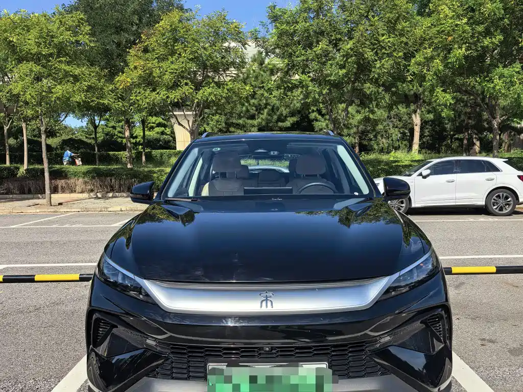 BYD Pro New Energy — миниатюра 2