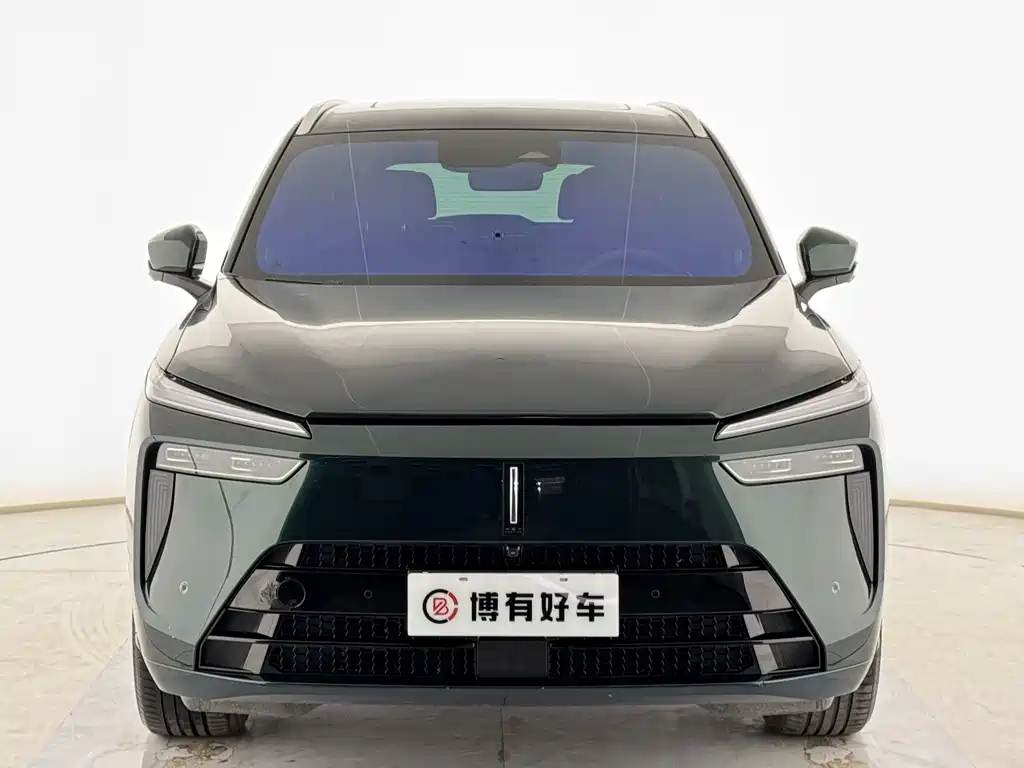 WEI PAI WEI BRAND BLUE MOUNTAIN