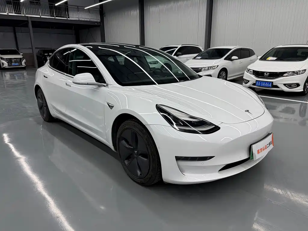 Tesla Model 3 — миниатюра 3