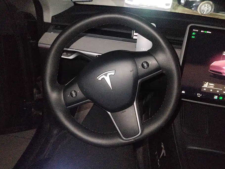 Tesla Model Y — миниатюра 15
