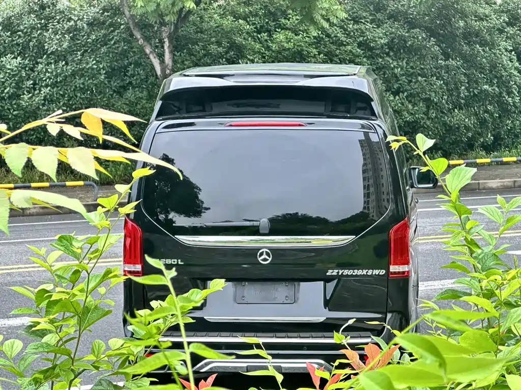 Mercedes-Benz V-Class V 2018 V 260 L Luxury Long Wheelbase VI