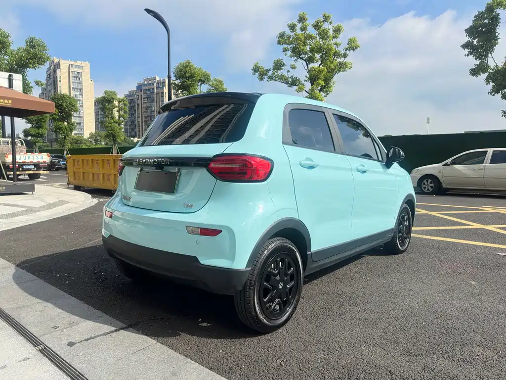 Leapmotor T03 2025 310