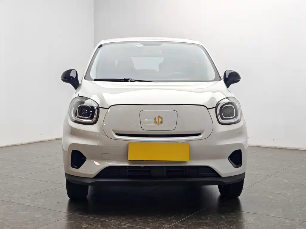 Leapmotor T03 2025 310
