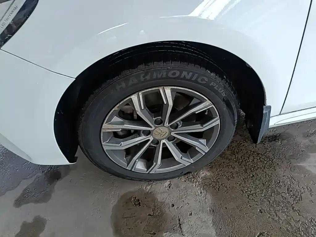 BYD MAX — миниатюра 23