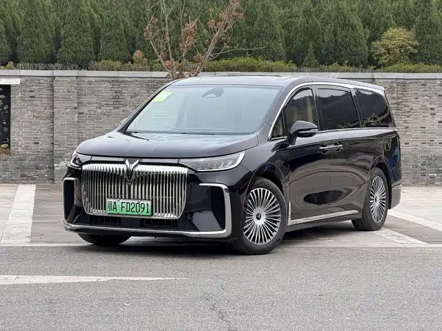 2024 Voyah Dream