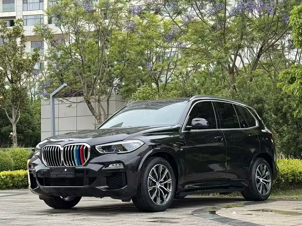 BMW X5 (Import) 2020