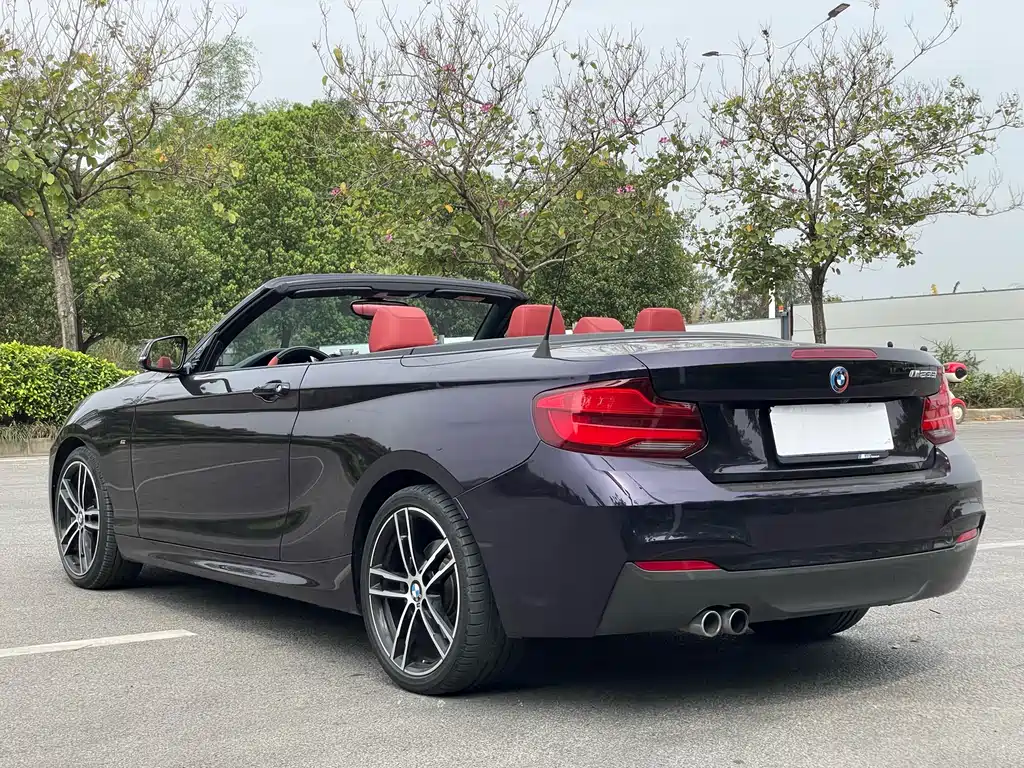 BMW 2 Series 2 2019 225i Premium M Sport