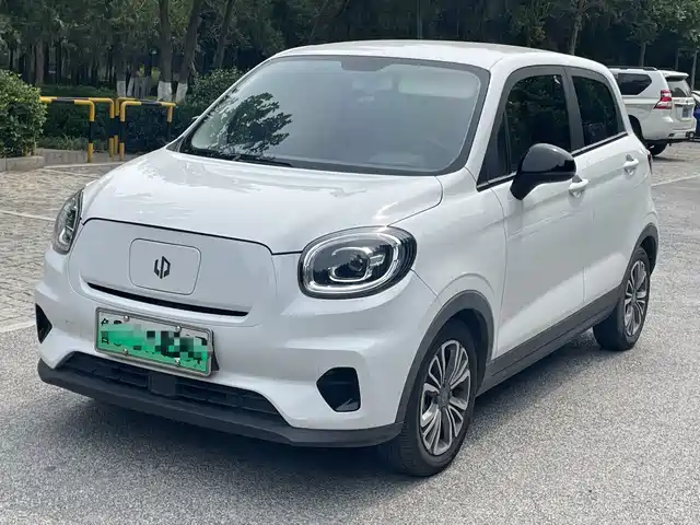 2021 Leapmotor T03