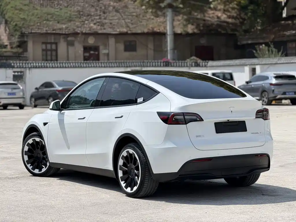 Tesla Model Y — миниатюра 5