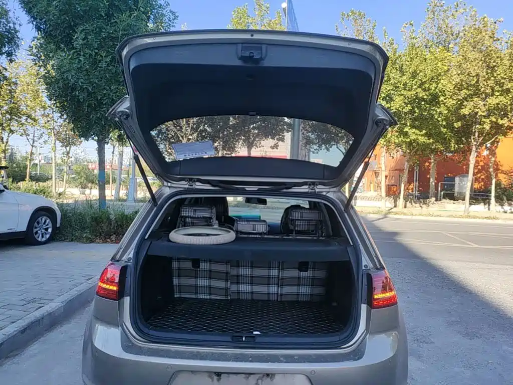 Volkswagen Golf — миниатюра 19