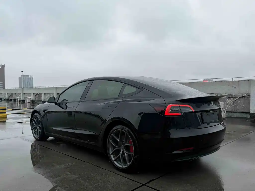 Tesla Model 3 — миниатюра 4