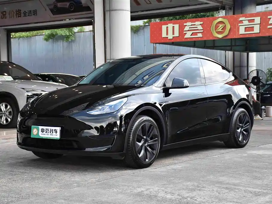 Tesla Model Y — миниатюра 2