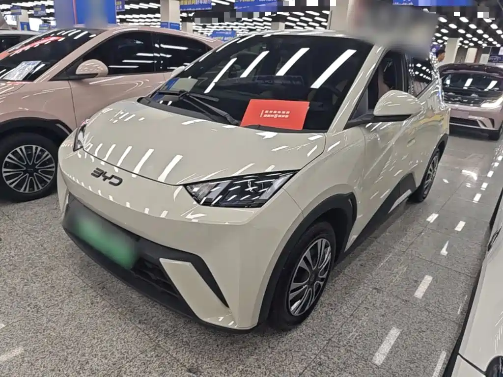 BYD Seagull 2024 305km