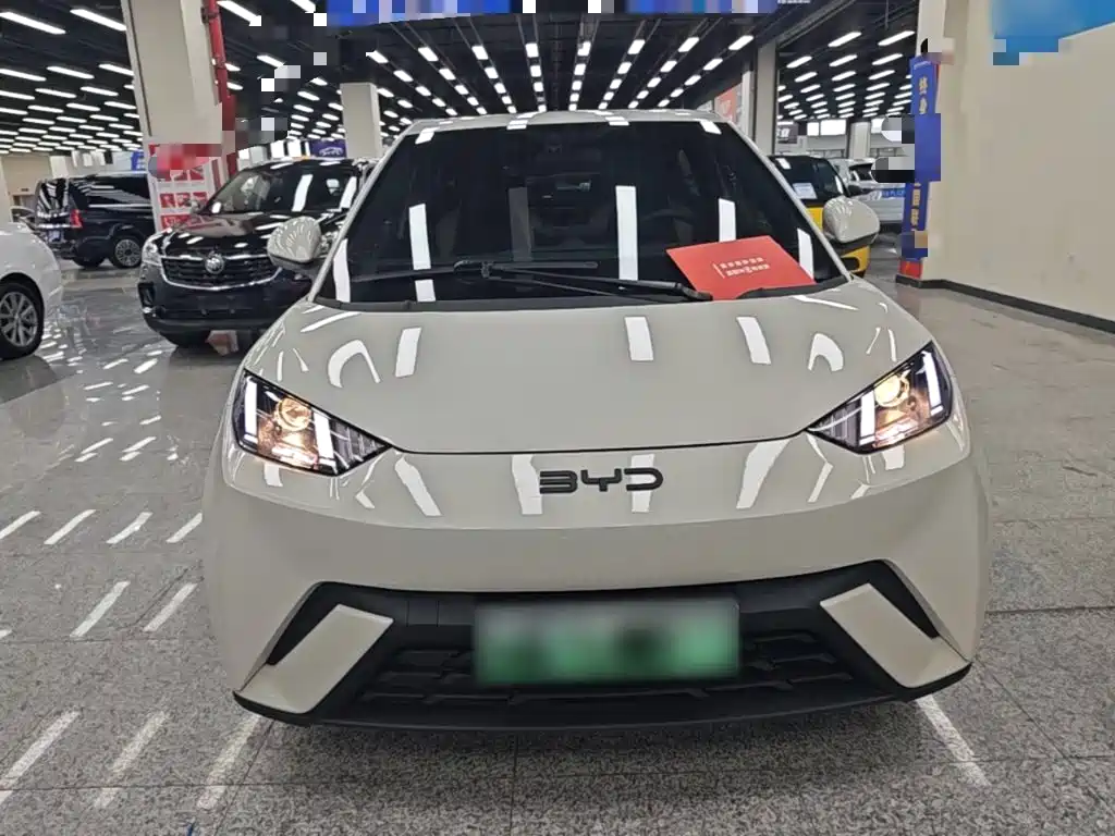 BYD Seagull 2024 305km