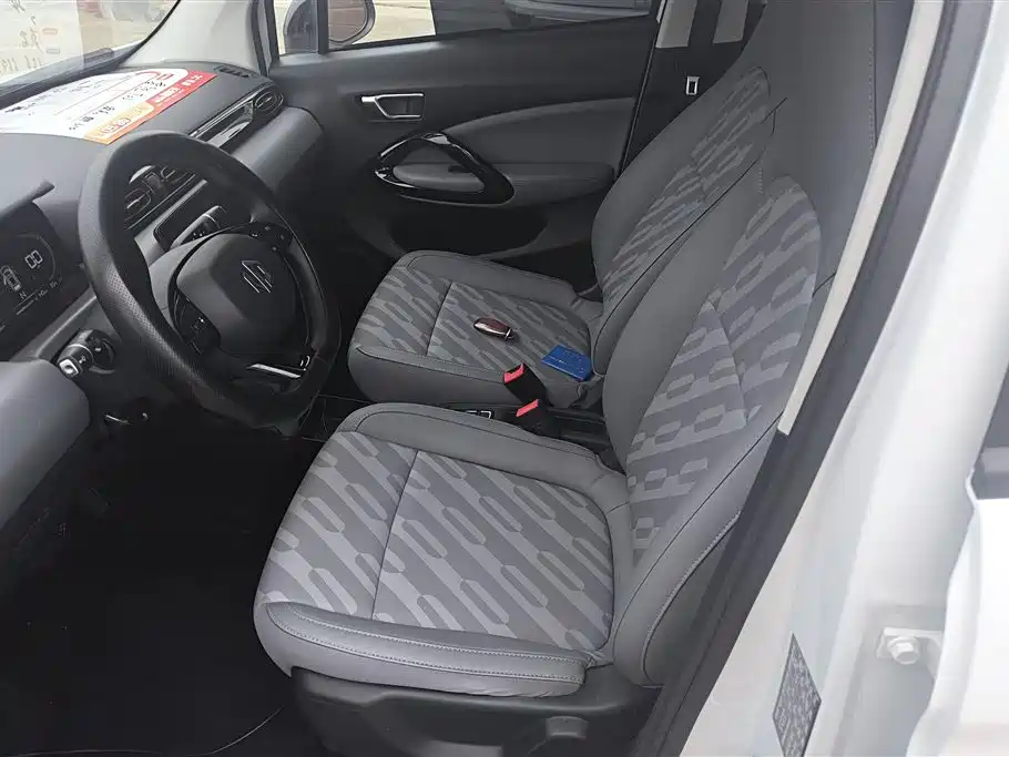 Leapmotor T03 2024 310