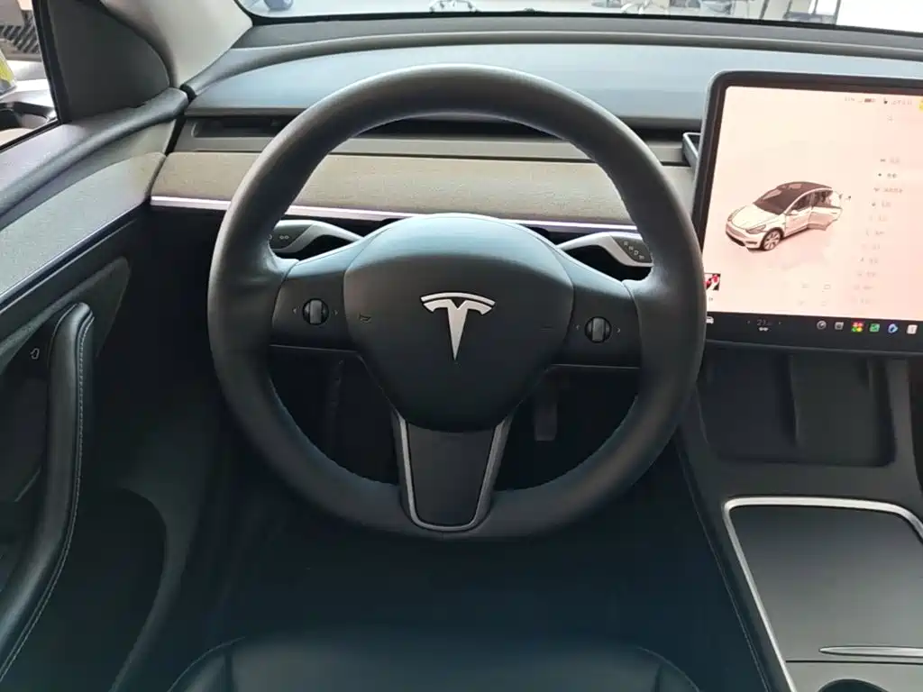 Tesla Model Y — миниатюра 11