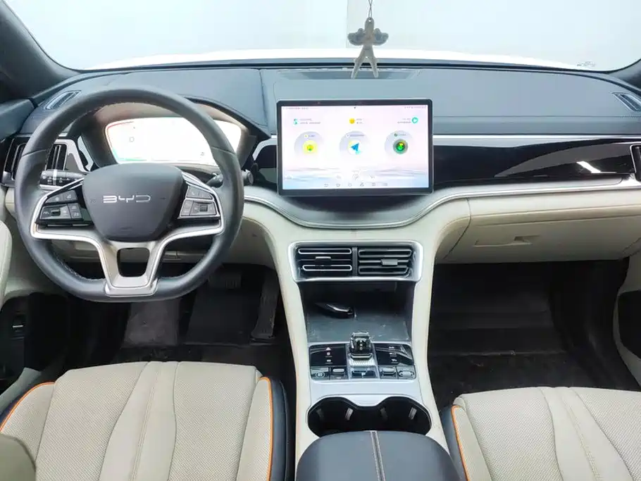 BYD PLUS New Energy — миниатюра 12