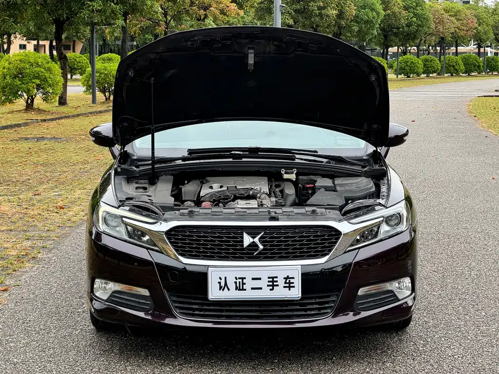 DS DS 5LS — миниатюра 16