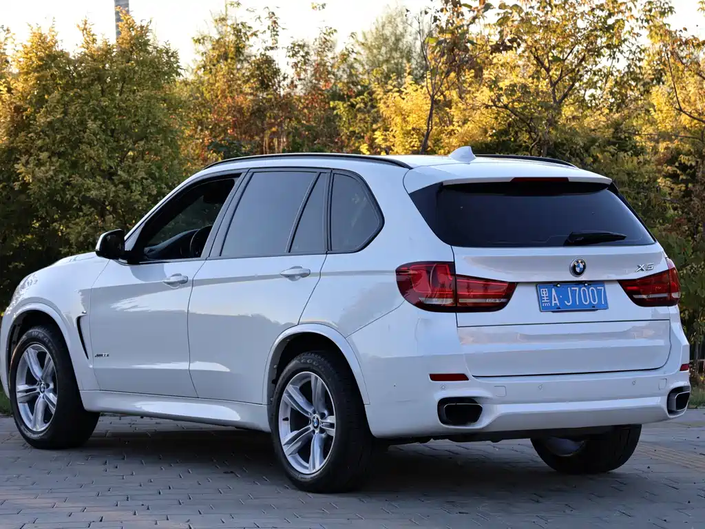 BMW X5 (Import) — миниатюра 11