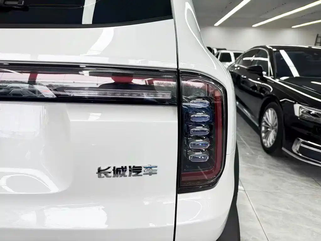Haval 长城大狗 — миниатюра 24