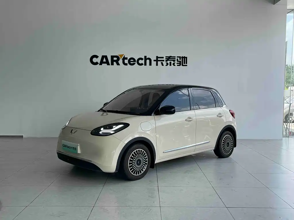 Wuling Binguo 2025 333km Delight