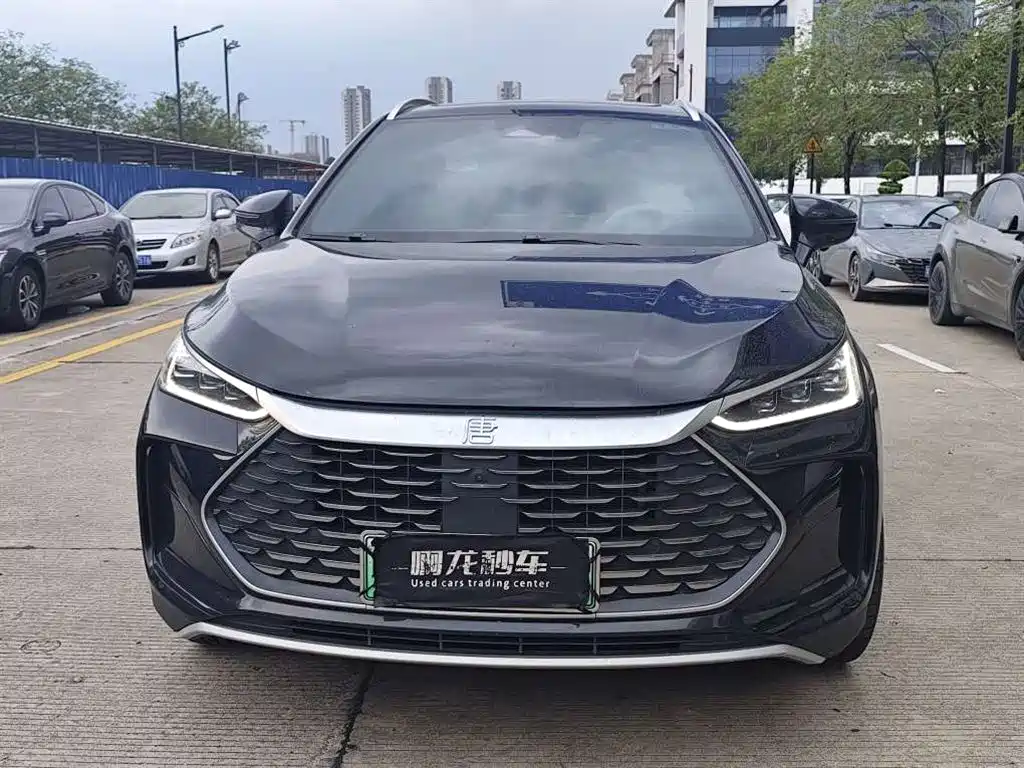 BYD Tang New Energy — миниатюра 2