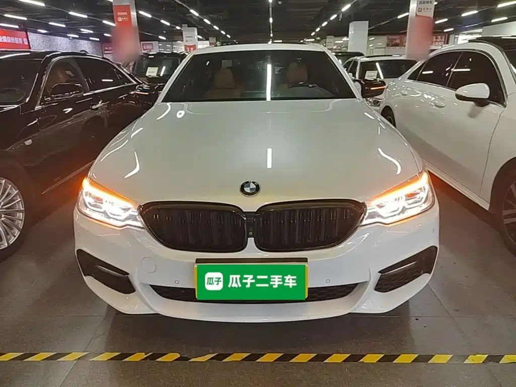 BMW 5 Series 5 2018 530Li Premium M Sport